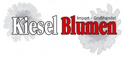Logo - Kiesel