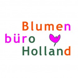 logo_bbh